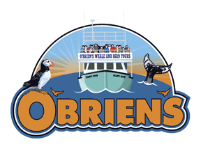 O'Briens Whale and Bird Tours Logo