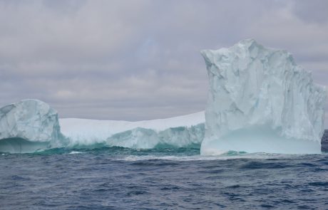 DSC_0341
