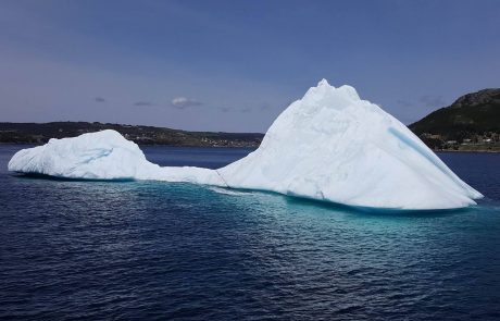 Iceberg-bay-bulls