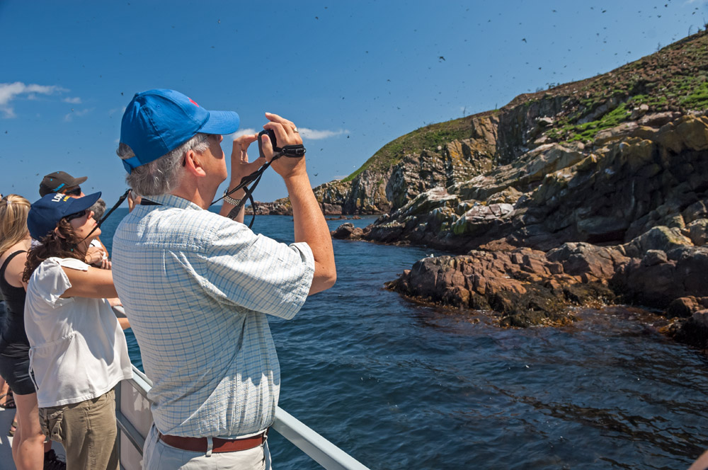 Man watching puffins