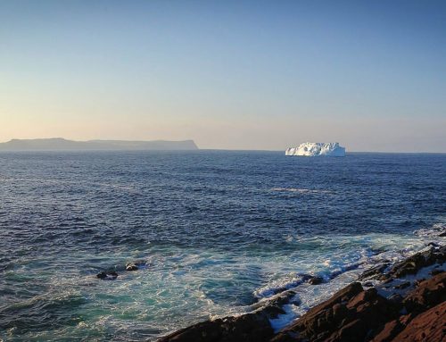 Hunting Icebergs in Newfoundland – A St. John’s Miniguide