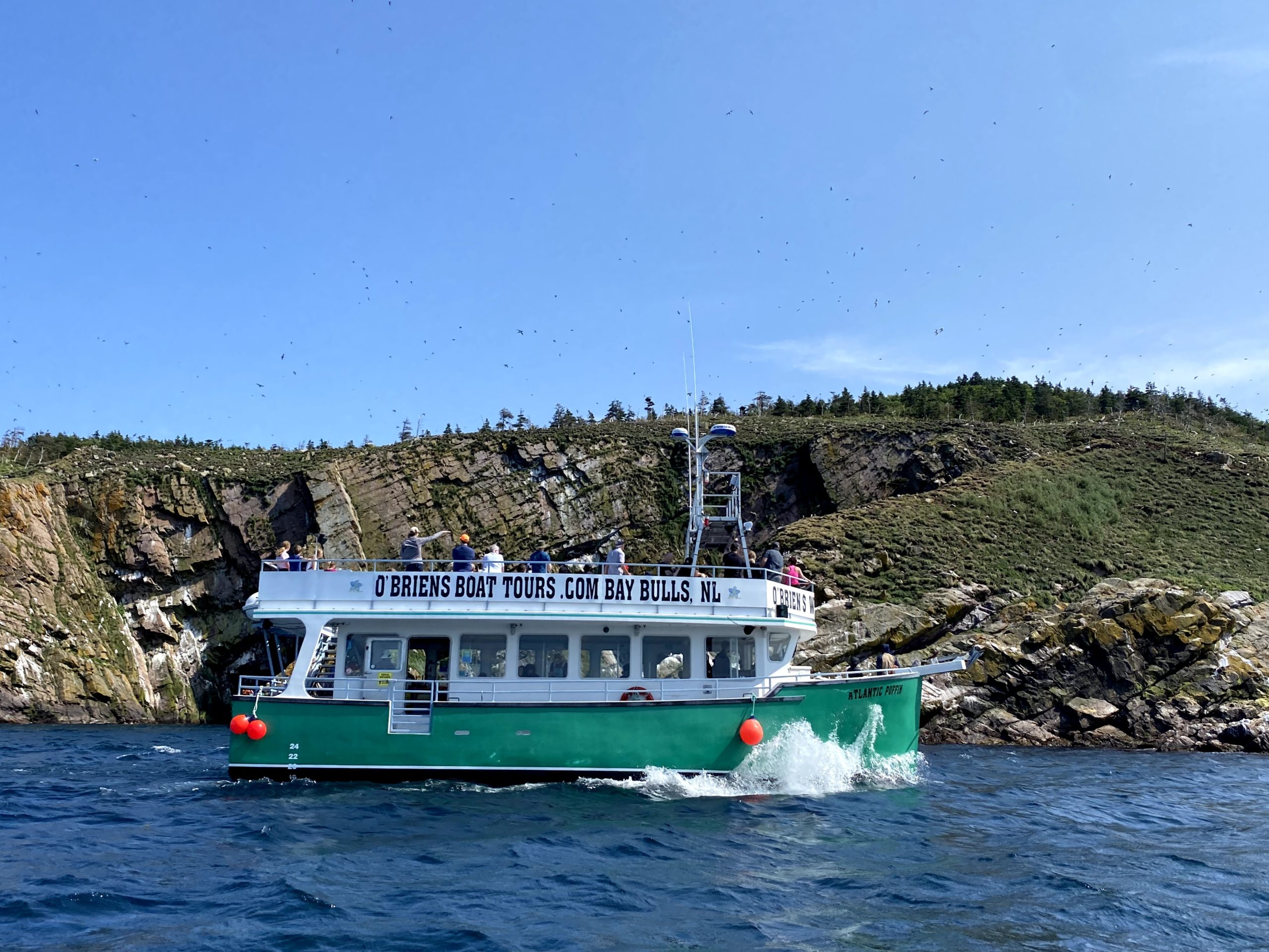 o'briens boat tours